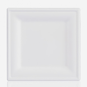 8 Inch Compostable Square Plate