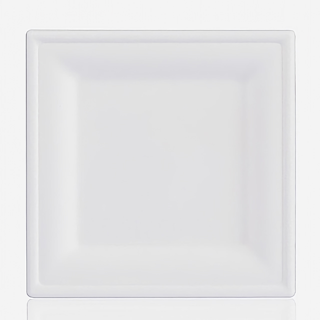 8 Inch Compostable Square Plate