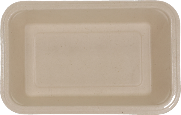 Rectangle Dinner Plates Biodegradable Trays