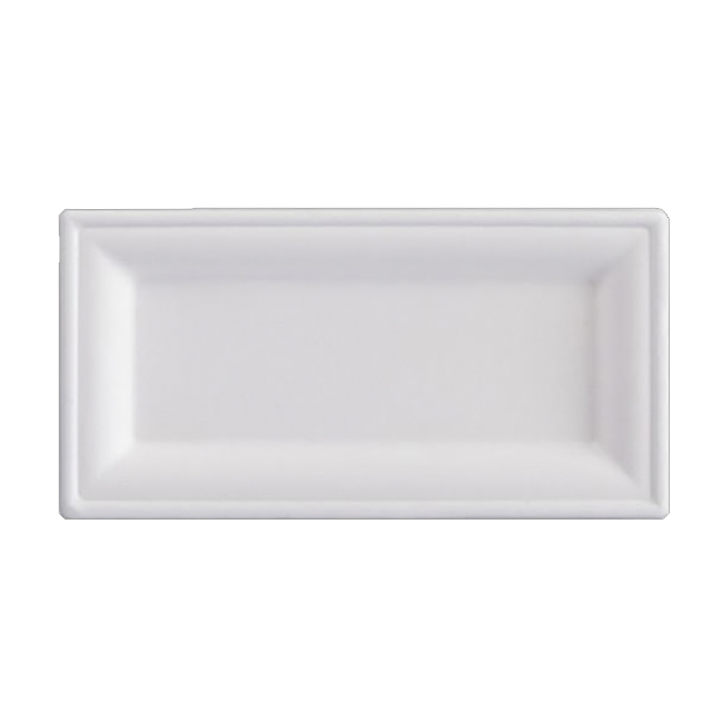 10*5 Inch Biodegradable Party Decor Plate