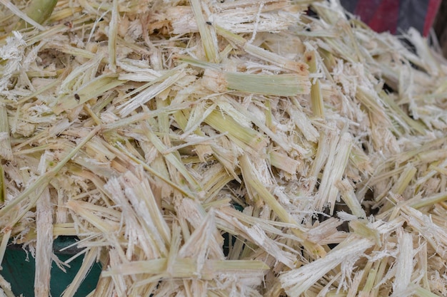 pile-bagasse_1053957-86