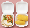 6 Inch Small Compostable Food Container