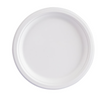 Submersible Biodegradable 10 Inch Plate