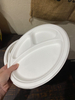 9 Inch 3 Compartment Biodegradable Plate