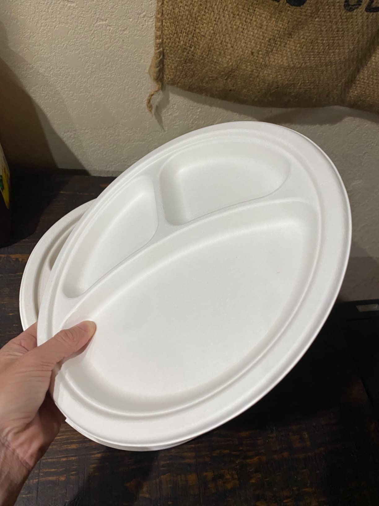 9 Inch 3 Compartment Biodegradable Plate