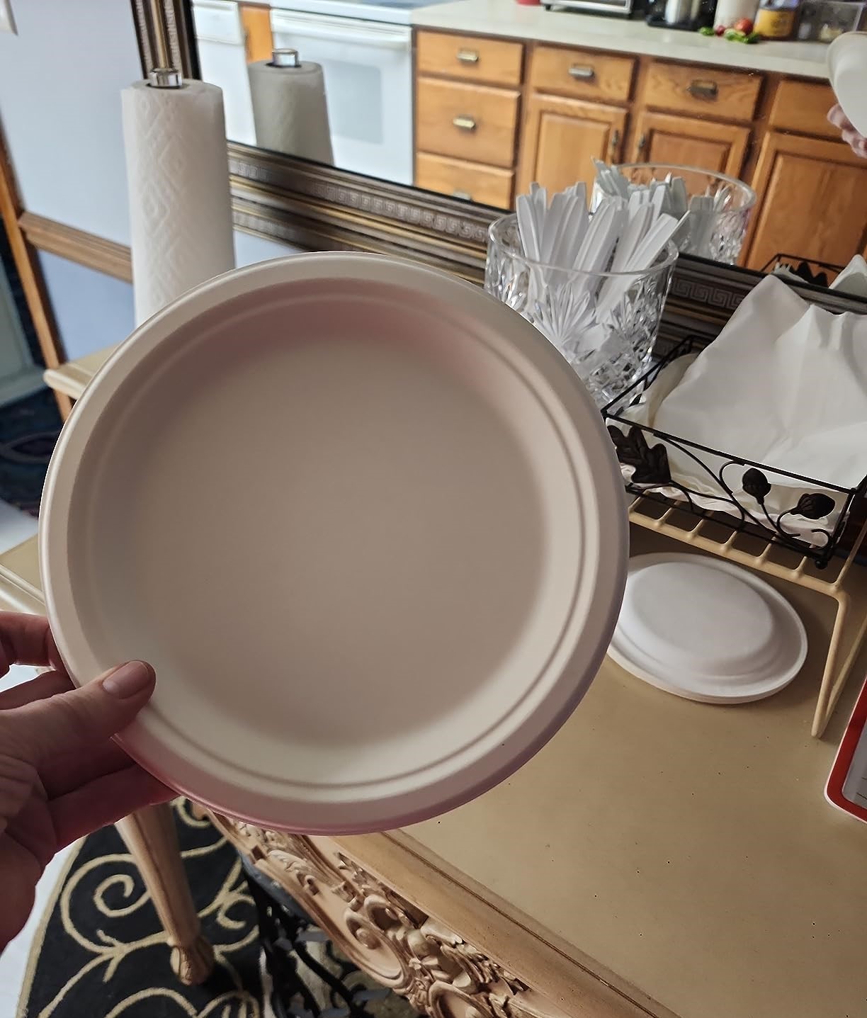 Submersible Biodegradable 10 Inch Plate