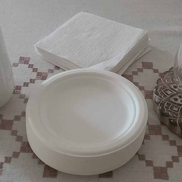 7 Inch Biodegradable Plate