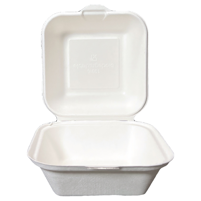 6 Inch Small Compostable Food Container