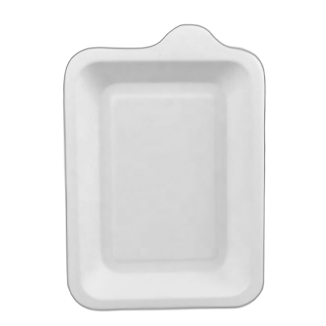 4*6 Inch Eco-friendly Biodegradable Plate