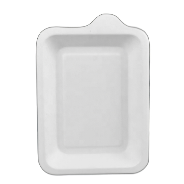 4*6 Inch Eco-friendly Biodegradable Plate