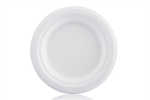 6 Inch Biodegradable Plate