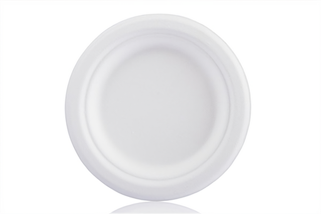 6 Inch Biodegradable Plate