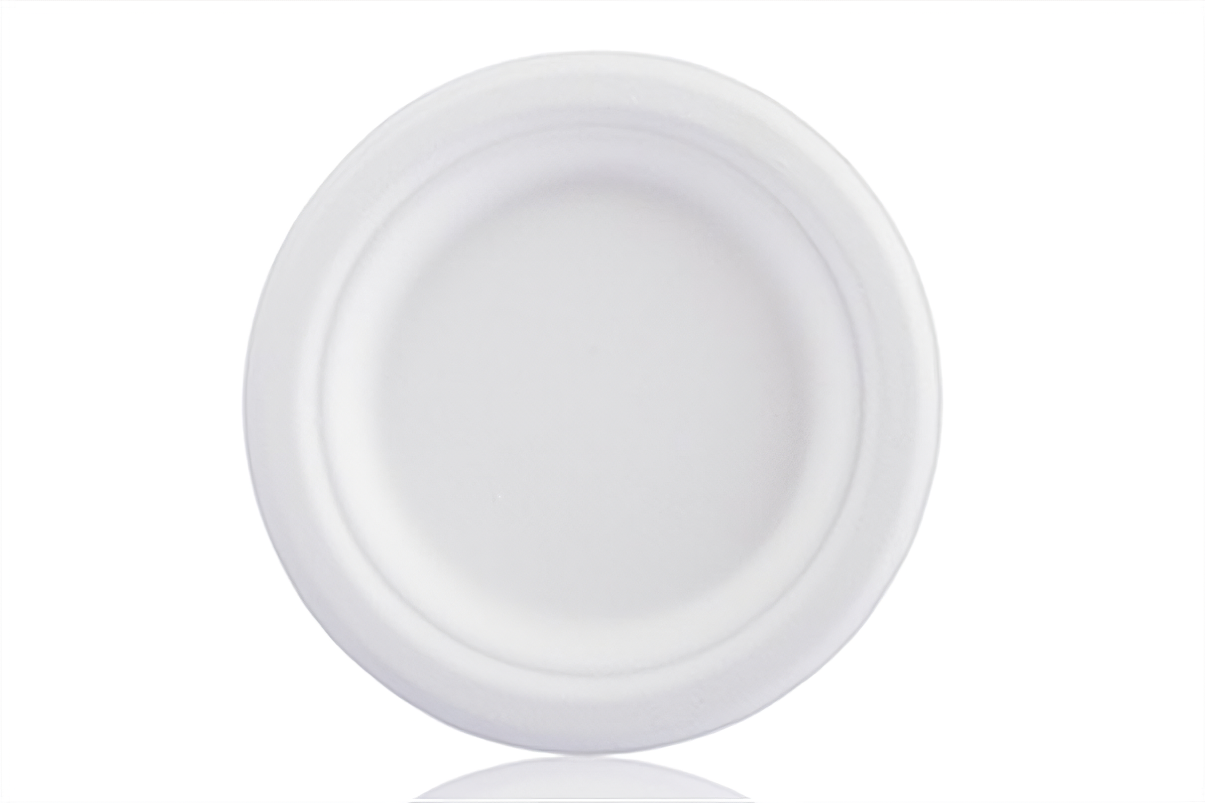 6 Inch Biodegradable Plate