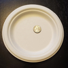 7 Inch Biodegradable Plate