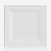 10 Inch Compostable Square Plate