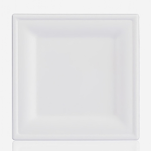 10 Inch Compostable Square Plate