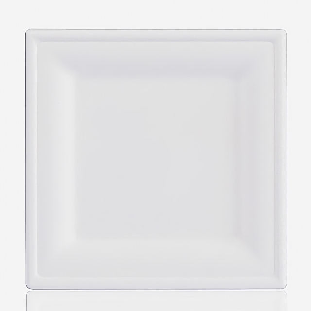 10 Inch Compostable Square Plate