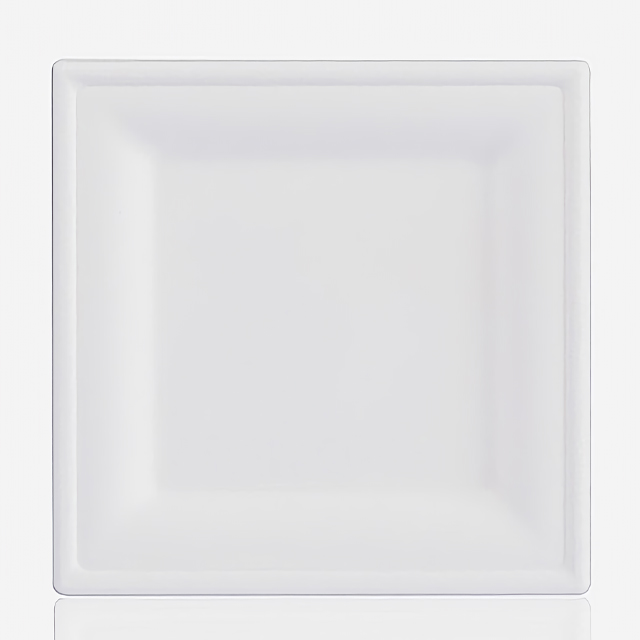10 Inch Compostable Square Plate