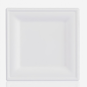 6-inch Sugarcane Square Plate
