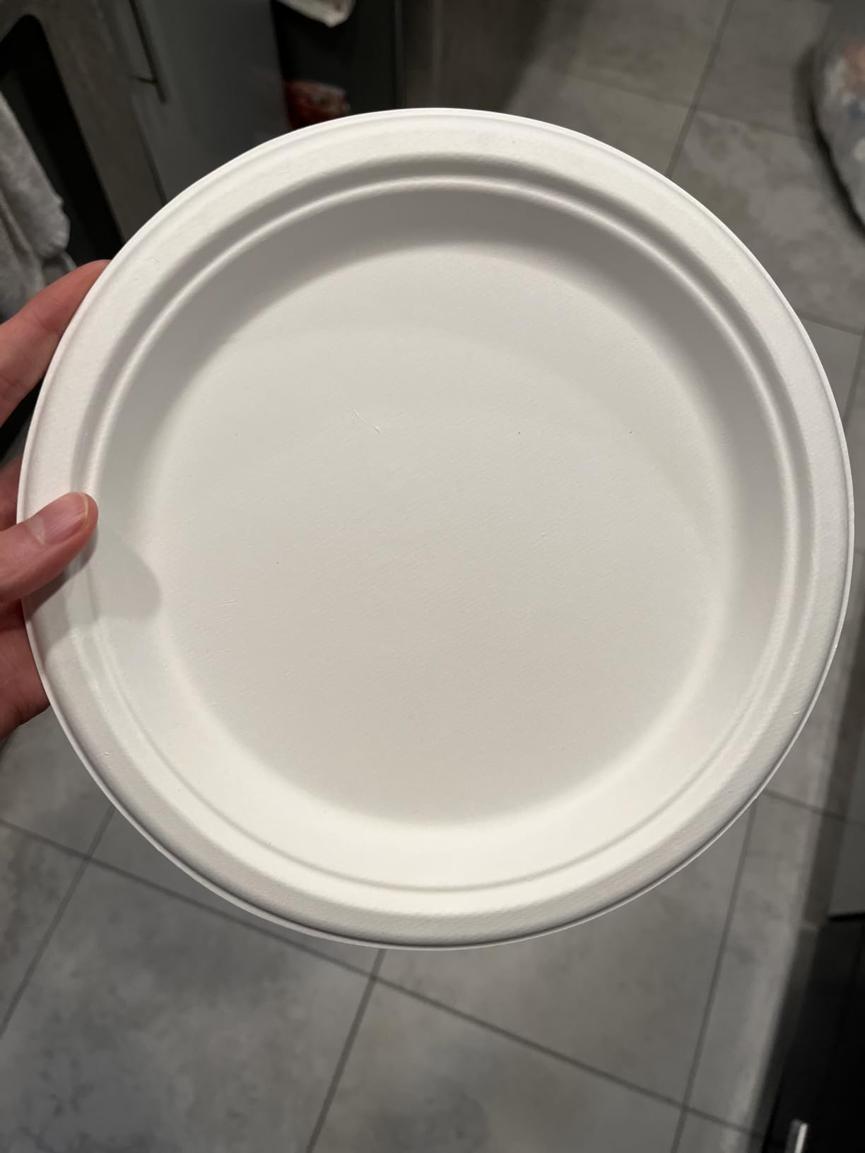 9 Inch Biodegradable Plate
