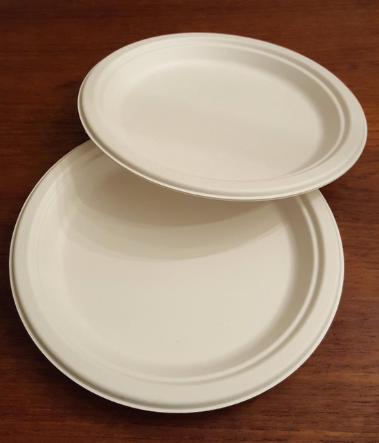 6 Inch Biodegradable Plate