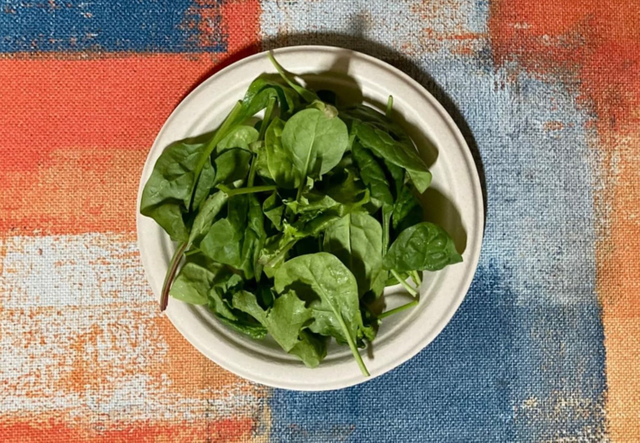 Round Party Biodegradable Plates