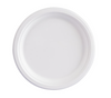 9 Inch Biodegradable Plate
