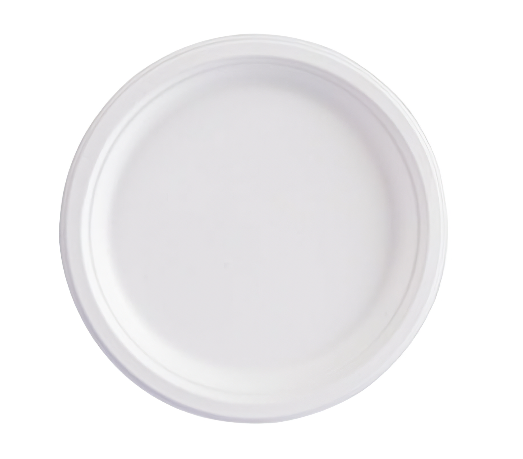 9 Inch Biodegradable Plate