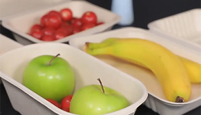 Biodegredable Packaging