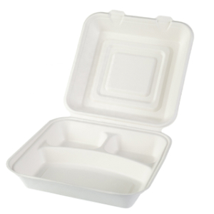 8-inch Biodegradable Flip-top Food Container