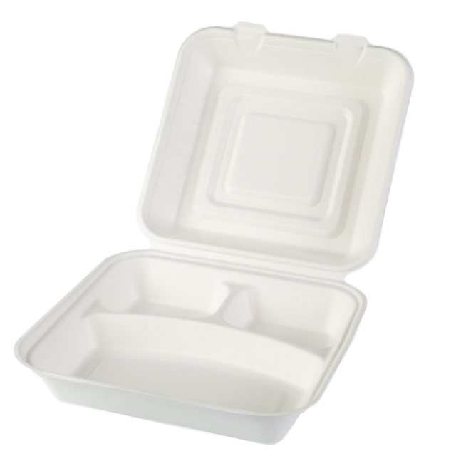 8-inch Biodegradable Flip-top Food Container
