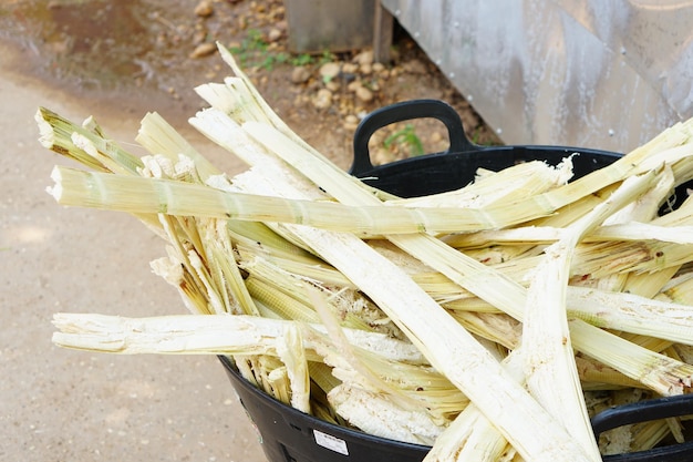 remains-sugar-cane-that-have-been-squeezed-out_35691-1421