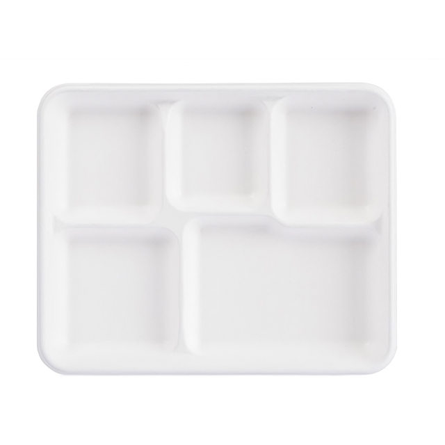 5 Compt Everyday Meals Tray