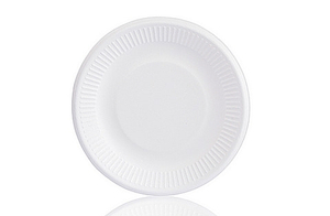 Eco-Friendly Disposable White Paper Plates Made of Bagasse