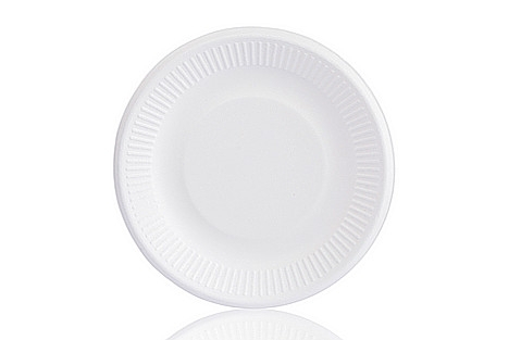 Eco-Friendly Disposable White Paper Plates Made of Bagasse